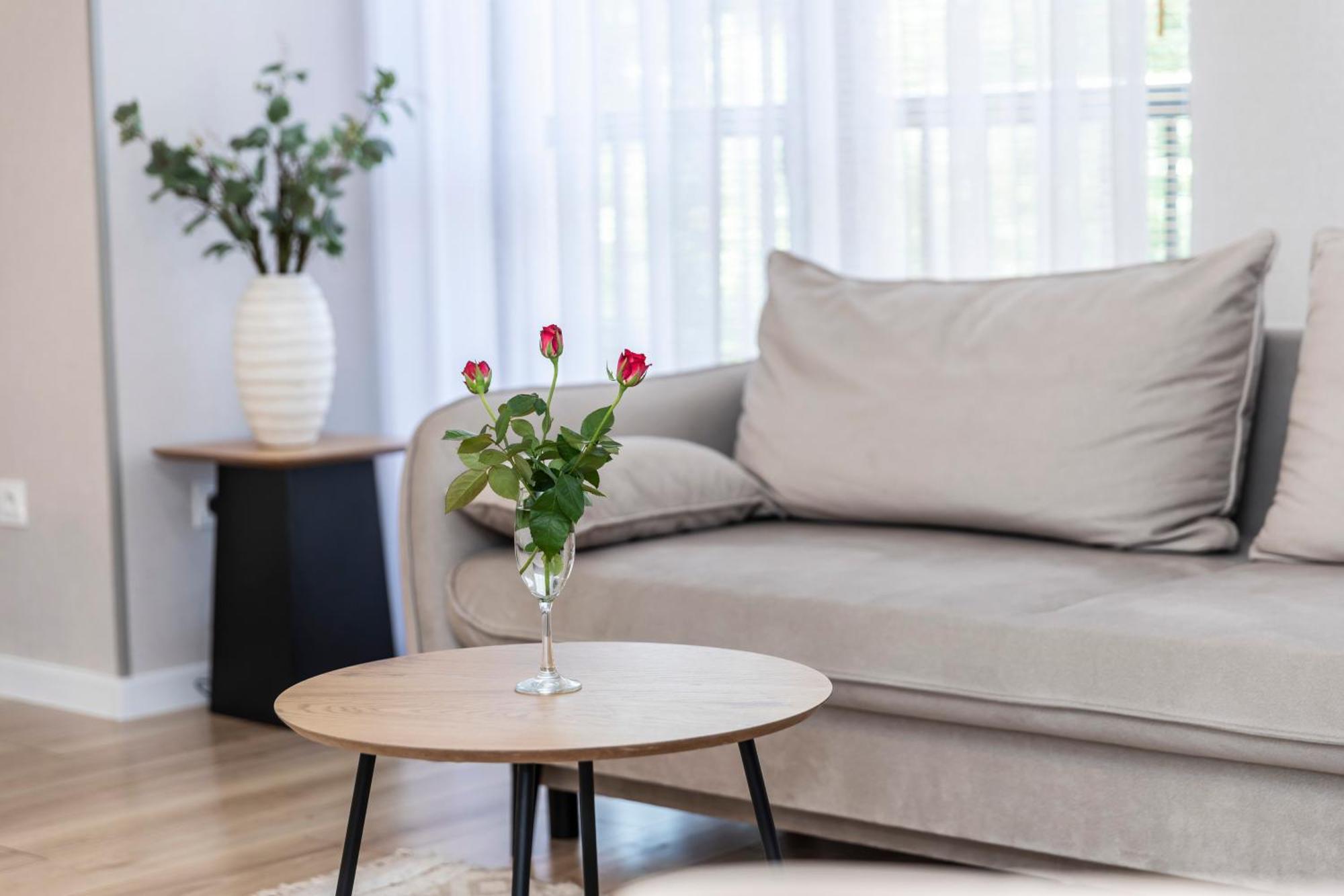 זקופאנה Tatrytop Apartamenty Sabala מראה חיצוני תמונה